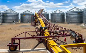 Почему шнековый транспортер умрет через сезон — 5 скрытых параметров, которых нет в паспорте