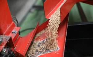 Зерноочистительная машина — ключ к финишу: пройдите путь до элеватора с максимальной скоростью и прибылью