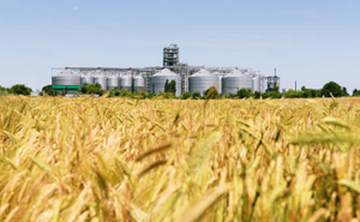 Элеватор — не расходы, а инвестиция: как хранение зерна увеличивает вашу прибыль на 30% 