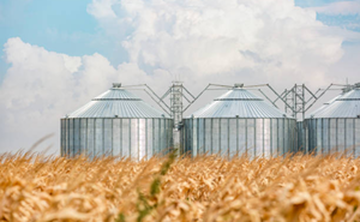 Почему успешные фермеры не экономят на фундаменте зернохранилища: пошаговый гид от практиков